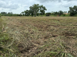 รถมือสอง อสังหาริมทรัพย์ ที่ดิน ปี 0 