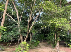 รถมือสอง อสังหาริมทรัพย์ ที่ดิน ปี 0 