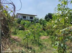 รถมือสอง อสังหาริมทรัพย์ ที่ดิน ปี 0 