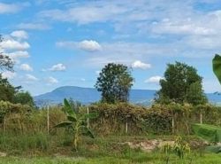 รถมือสอง อสังหาริมทรัพย์ ที่ดิน ปี 0 