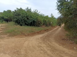 รถมือสอง อสังหาริมทรัพย์ ที่ดิน ปี 0 