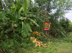 รถมือสอง อสังหาริมทรัพย์ ที่ดิน ปี 0 