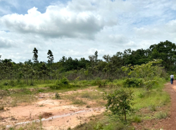 รถมือสอง อสังหาริมทรัพย์ ที่ดิน ปี 0 