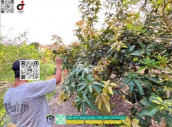 รถมือสอง อสังหาริมทรัพย์ ที่ดิน ปี 0 