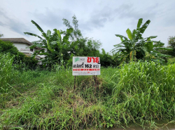 รถมือสอง อสังหาริมทรัพย์ ที่ดิน ปี 0 