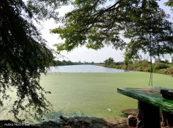 รถมือสอง อสังหาริมทรัพย์ ที่ดิน ปี 0 