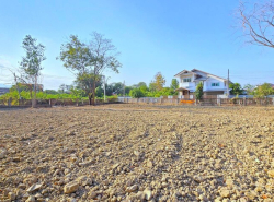 อสังหาริมทรัพย์ - ที่ดิน
