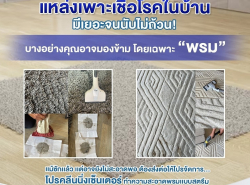 รถมือสอง ประกาศทั่วไป อื่นๆทั่วไป ปี 0 