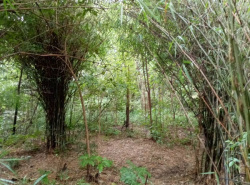 รถมือสอง อสังหาริมทรัพย์ ที่ดิน ปี 0 