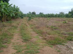 รถมือสอง อสังหาริมทรัพย์ ที่ดิน ปี 0 