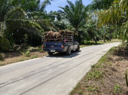 รถมือสอง อสังหาริมทรัพย์ ที่ดิน ปี 0 