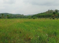 รถมือสอง อสังหาริมทรัพย์ ที่ดิน ปี 0 