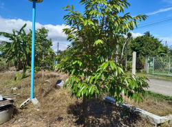 รถมือสอง อสังหาริมทรัพย์ ที่ดิน ปี 0 