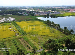 ขายที่ดิน ใกล้แยก รพ.ลำพูน 15-1-31.4 ไร่ ติดถนน ทล.1136 (เหมืองง่า-ลำพ