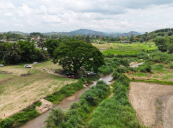 รถมือสอง อสังหาริมทรัพย์ ที่ดิน ปี 0 