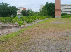 รถมือสอง อสังหาริมทรัพย์ ที่ดิน ปี 0 