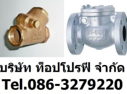 วาล์วลม วาล์วน้ำ วาล์วน้ำมัน วาล์วแก๊ส แพนเช็ควาล์ว สวิงเช็ควาล์ว วูซั