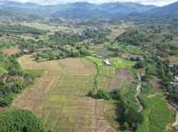 รถมือสอง อสังหาริมทรัพย์ ที่ดิน ปี 0 