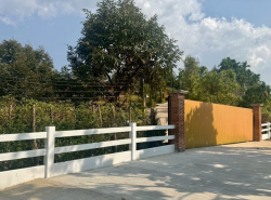 รถมือสอง อสังหาริมทรัพย์ ที่ดิน ปี 0 