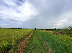 รถมือสอง อสังหาริมทรัพย์ ที่ดิน ปี 0 