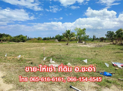 รถมือสอง อสังหาริมทรัพย์ ที่ดิน ปี 0 