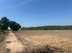 รถมือสอง อสังหาริมทรัพย์ ที่ดิน ปี 0 