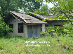รถมือสอง อสังหาริมทรัพย์ ที่ดิน ปี 0 