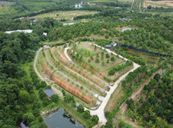 รถมือสอง อสังหาริมทรัพย์ ที่ดิน ปี 0 