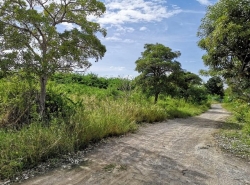 ขาย ที่ดิน ต.ปึกเตียน อ.ท่ายาง จ.เพชรบุรี    PAPC2_0009 C001