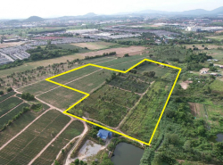 ขายที่ดินปลวกแดง ห้วยปราบ-มาบยางพรสีม่วงลาย 36 ไร่ ใกล้นิคมWHA-10กม. ใกล้โรบินสันบ่อวิน-7กม. จ.ระยอง
