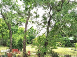 ขายที่ดิน ถนนสุขุมวิท ซอย 27 (บุญศิริ)  175 ตรว. ในเมืองปากน้ำ สมุทรปราการ 