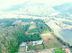รถมือสอง อสังหาริมทรัพย์ ที่ดิน ปี 0 