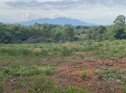 รถมือสอง อสังหาริมทรัพย์ ที่ดิน ปี 0 