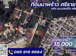 ขาย ที่ดิน ศรีราชา-นาพร้าว ขนาด 1ไร่ แปลงสี่เหลี่ยมสวย ติดถนน ถมแล้ว พร้อมใช้งาน