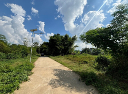 รถมือสอง อสังหาริมทรัพย์ ที่ดิน ปี 0 