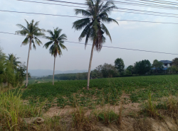 รถมือสอง อสังหาริมทรัพย์ ที่ดิน ปี 0 