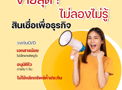 สินเชื่อหมุนเวียนระยะสั้น