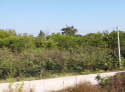 รถมือสอง อสังหาริมทรัพย์ ที่ดิน ปี 0 