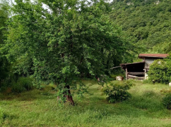 รถมือสอง อสังหาริมทรัพย์ ที่ดิน ปี 0 