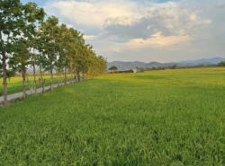 รถมือสอง อสังหาริมทรัพย์ ที่ดิน ปี 0 