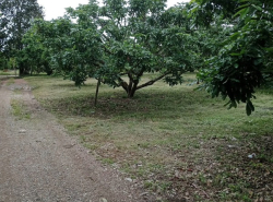 รถมือสอง อสังหาริมทรัพย์ ที่ดิน ปี 0 