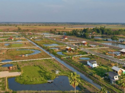 ขายด่วน บ้านสวนบนพื้นที่ 2 ไร่  บ้านสวนเกษตร สไตล์วิศวะ เฟส 2 ต.บางลูกเสือ อ.องครักษ์ จ.นครนายก