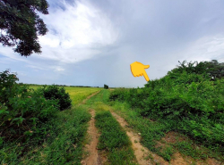 รถมือสอง อสังหาริมทรัพย์ ที่ดิน ปี 0 