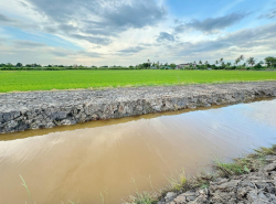รถมือสอง อสังหาริมทรัพย์ ที่ดิน ปี 0 
