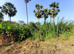 รถมือสอง อสังหาริมทรัพย์ ที่ดิน ปี 0 