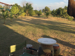 รถมือสอง อสังหาริมทรัพย์ ที่ดิน ปี 0 