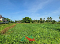 รถมือสอง อสังหาริมทรัพย์ ที่ดิน ปี 0 