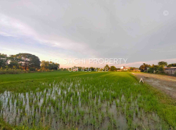 รถมือสอง อสังหาริมทรัพย์ ที่ดิน ปี 0 