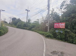 ขายที่เปล่าปากช่อง ห่างถ.มิตรภาพเพียง 600 เมตร โฉนดปลอดภาระ