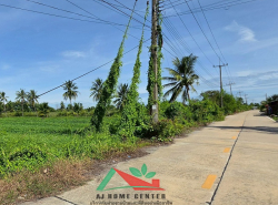 รถมือสอง อสังหาริมทรัพย์ ที่ดิน ปี 0 